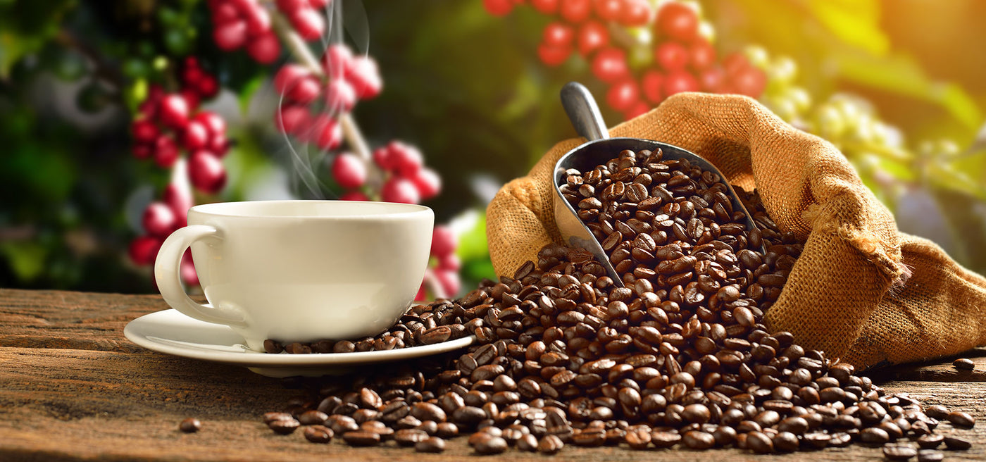 Kaffee, Füllprodukte & Co
