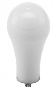 Joe Frex Handle Pop White hpw